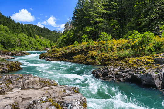 River flowing through rocks
